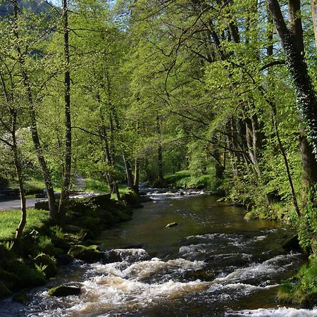 Wildbad Luft Apartament Bad Wildbad Zewnętrze zdjęcie