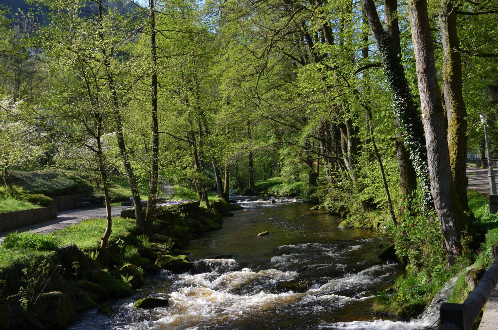 Wildbad Luft Apartament Bad Wildbad Zewnętrze zdjęcie
